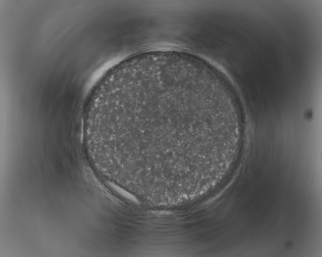X0000116121317201001040942