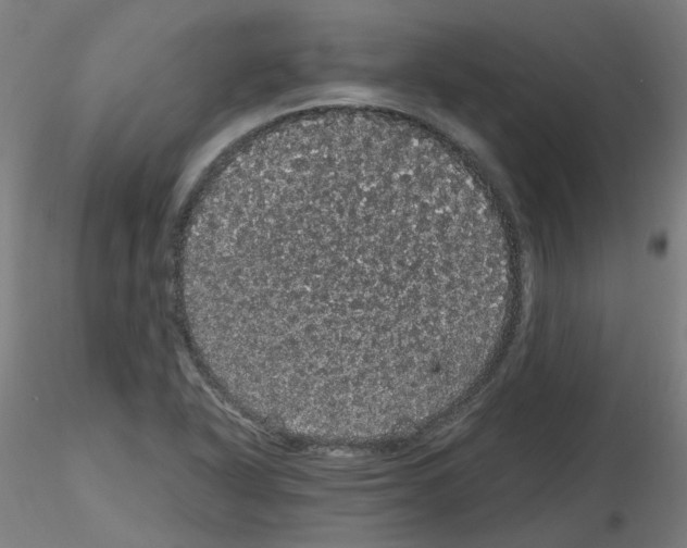 X0000116121318201001040942
