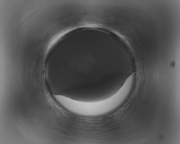 X0000116121319201001040942