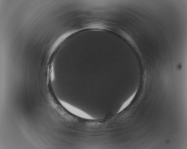 X0000116121323201001040942