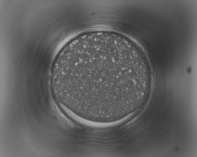 X0000116121325201001040942