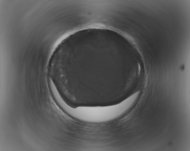 X0000116121326201001040942