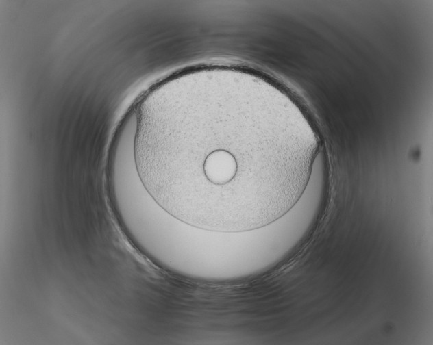 X0000116121327201001040942