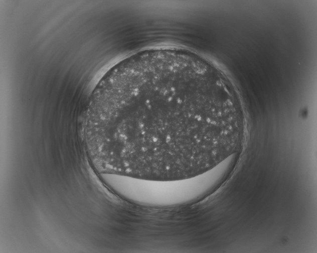 X0000116121329201001040942