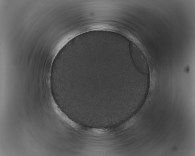 X0000116121330201001040942