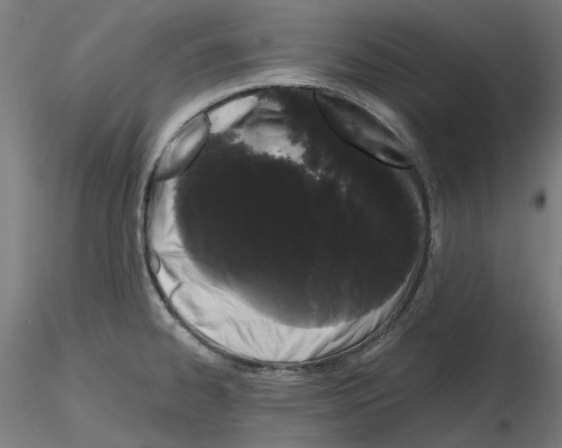 X0000116121334201001040942