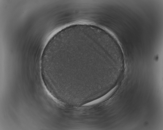 X0000116121335201001040942