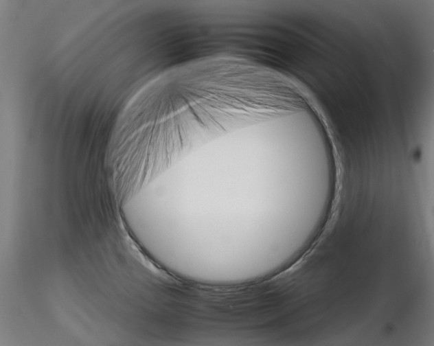 X0000116121337201001040942