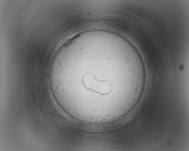 X0000116121338201001040942
