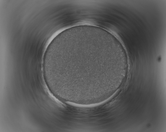 X0000116121339201001040942
