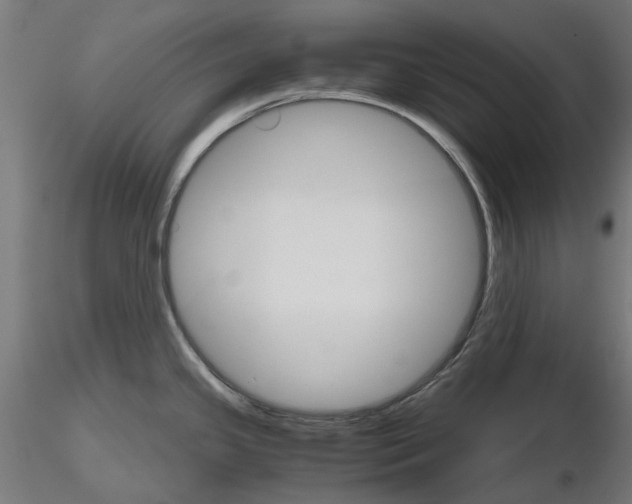 X0000116121341201001040942