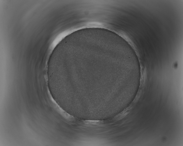 X0000116121342201001040942