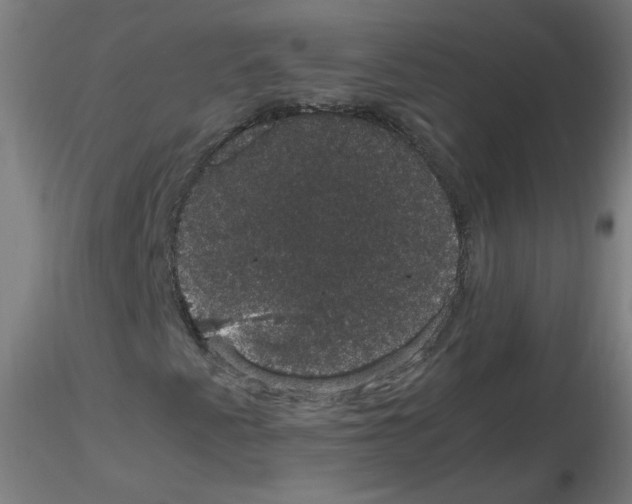 X0000116121345201001040942