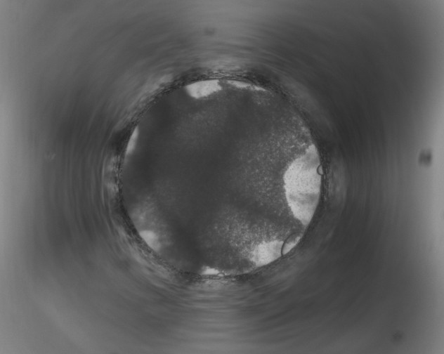 X0000116121346201001040942