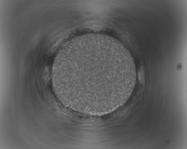 X0000116121347201001040942