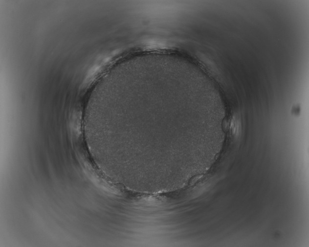 X0000116121348201001040942
