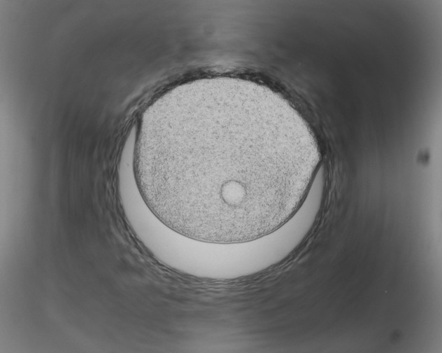 X0000116121349201001040942