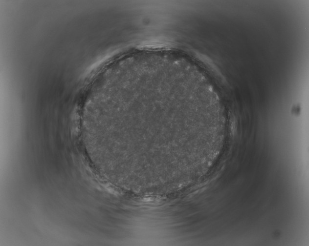X0000116121350201001040942