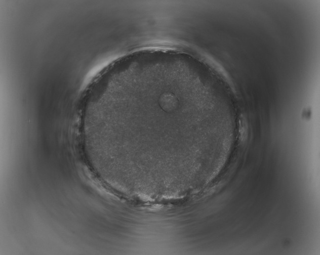 X0000116121352201001040942