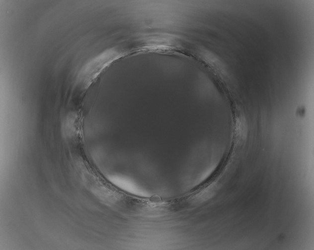 X0000116121353201001040942