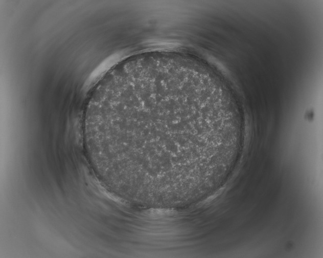 X0000116121354201001040942
