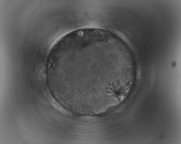 X0000116121356201001040942