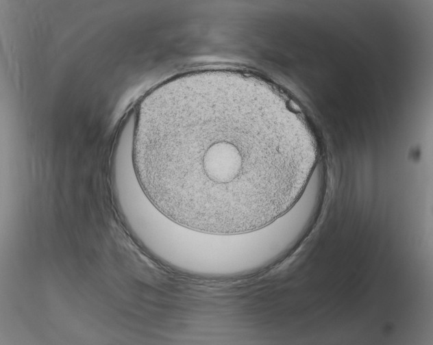X0000116121357201001040941