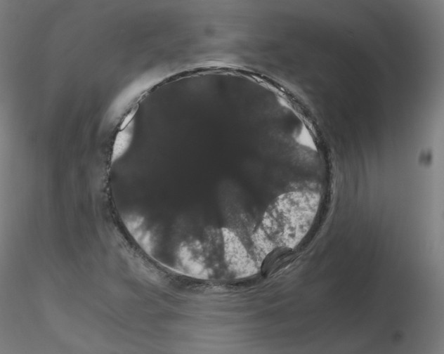X0000116121359201001040941