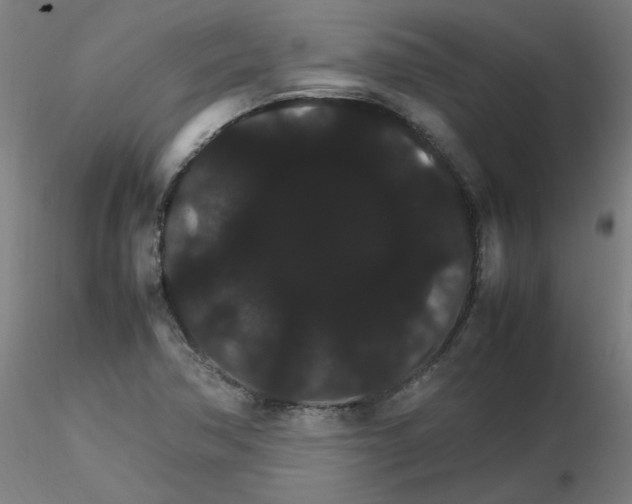 X0000116121362201001040941