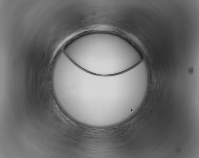 X0000116121364201001040941