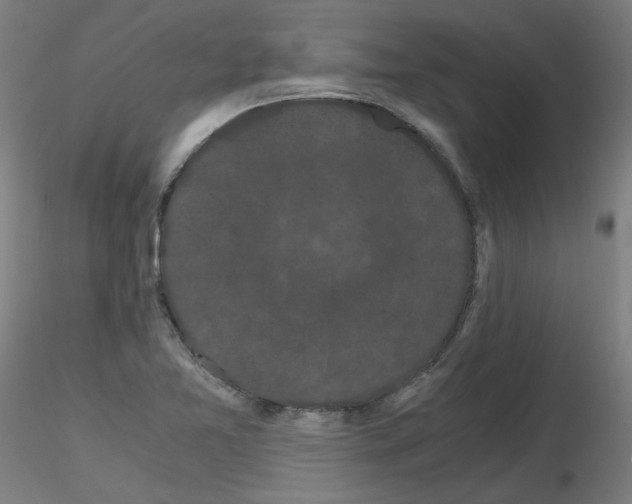 X0000116121365201001040941