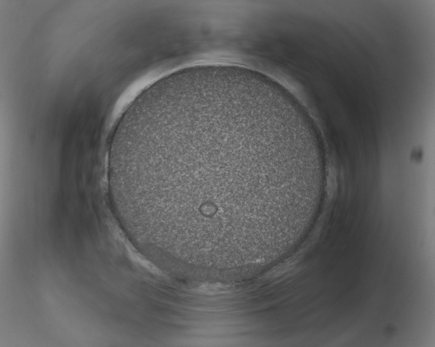 X0000116121366201001040941