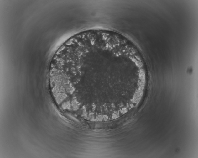 X0000116121367201001040941
