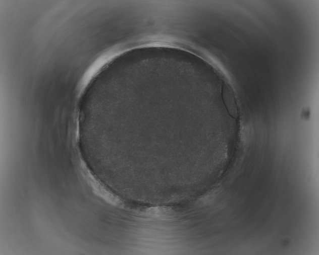 X0000116121368201001040941