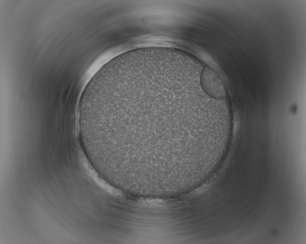 X0000116121370201001040941