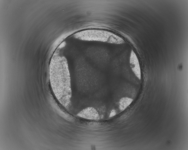X0000116121371201001040941
