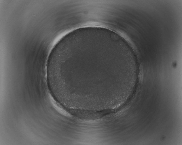 X0000116121372201001040941