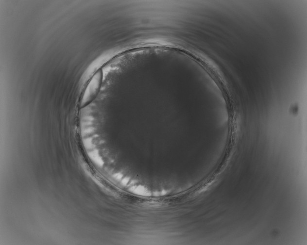 X0000116121373201001040941