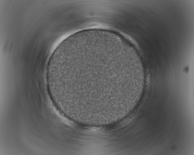X0000116121375201001040941