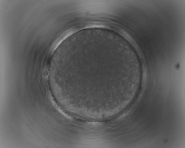 X0000116121377201001040941