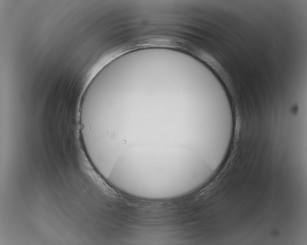 X0000116121378201001040941
