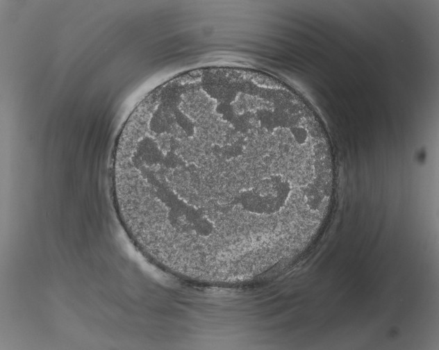 X0000116121379201001040941