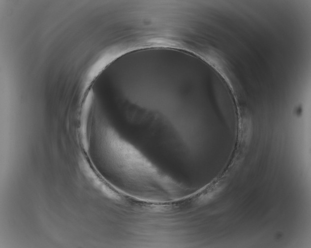X0000116121381201001040941