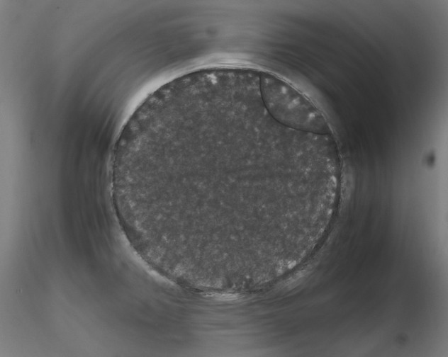 X0000116121382201001040941