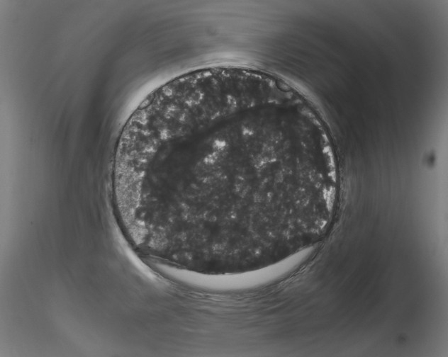 X0000116121383201001040941
