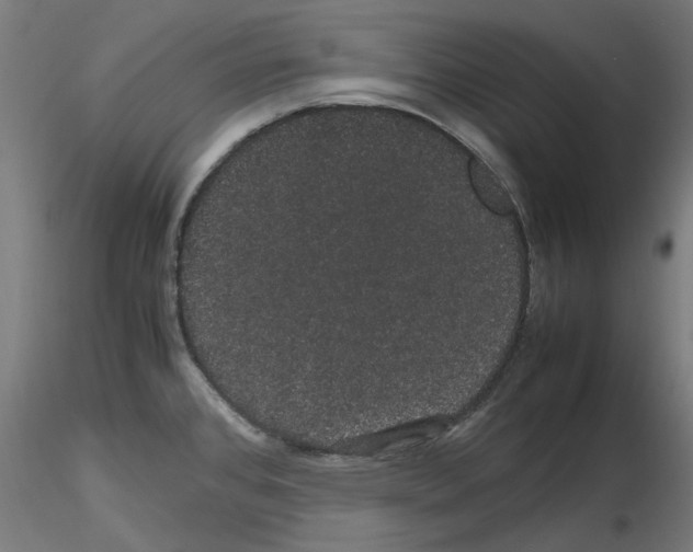 X0000116121384201001040941