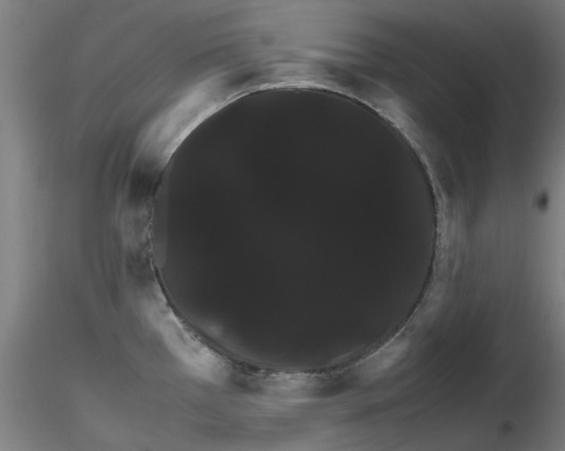 X0000116121385201001040941