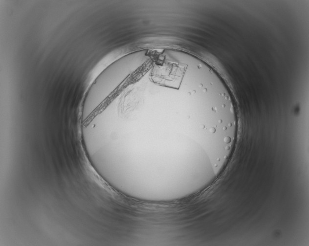 X0000116121386201001040941