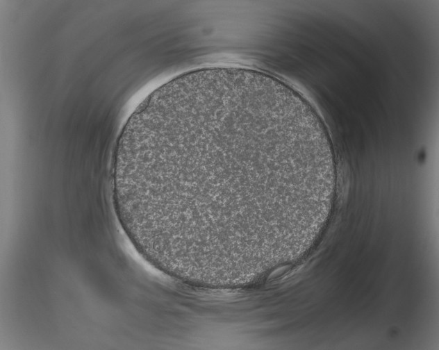 X0000116121387201001040941