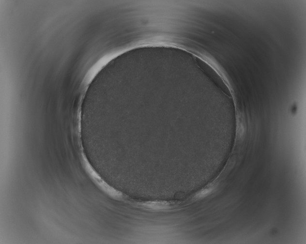X0000116121388201001040941